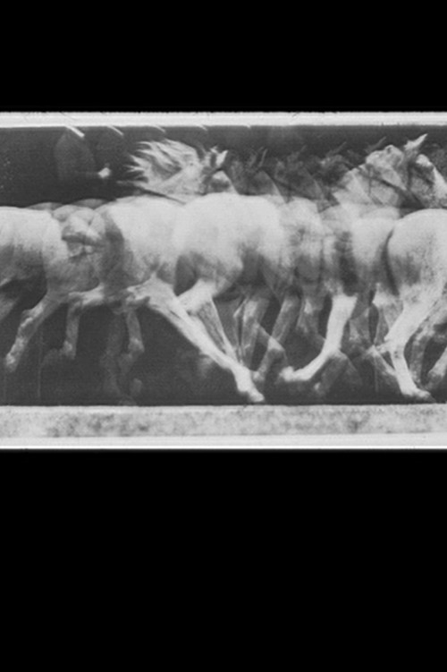 Gift of Fire: Nineteen (Obscure) Frames That Changed The World Poster