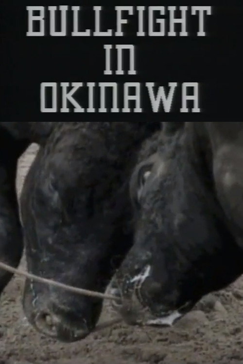 Bullfight in Okinawa Poster