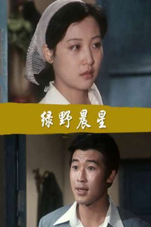 绿野晨星 Poster