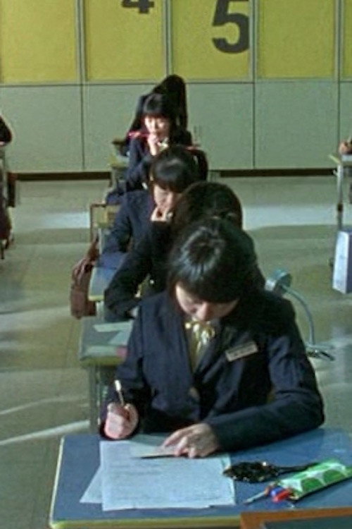 Blue Birds on the Desk Poster