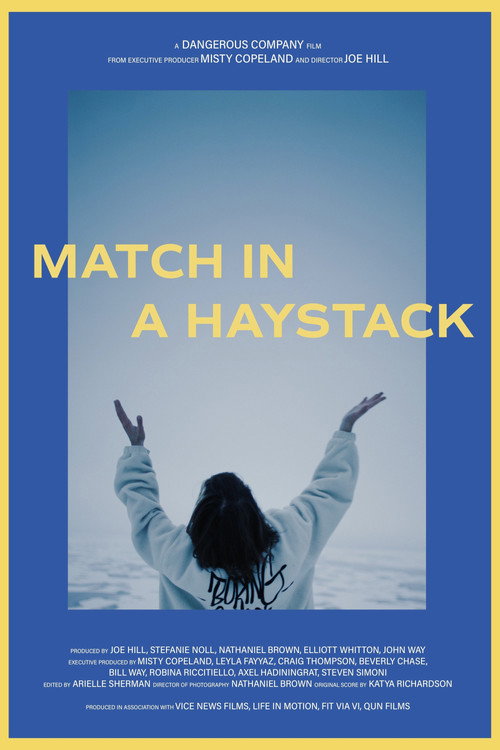 Match in a Haystack Poster