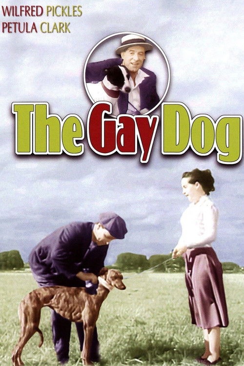 The Gay Dog Poster