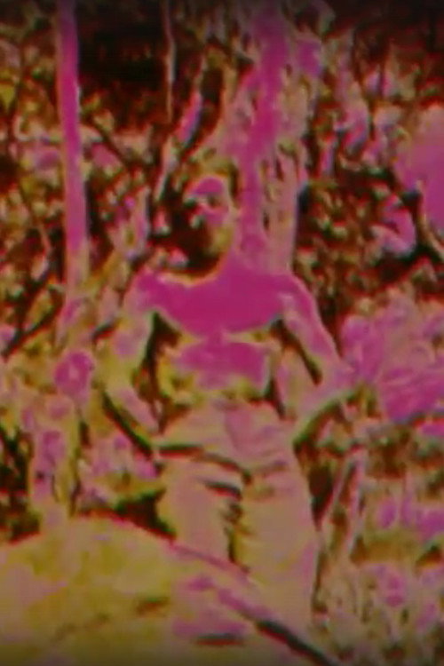 Album Poster