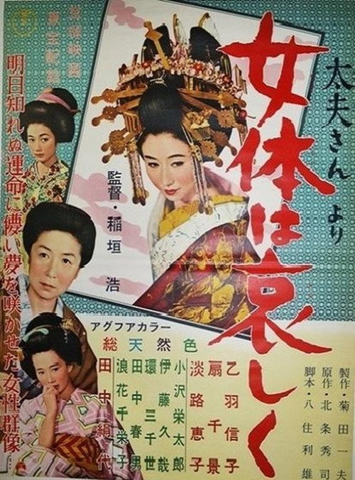 Geisha in the Old City Poster
