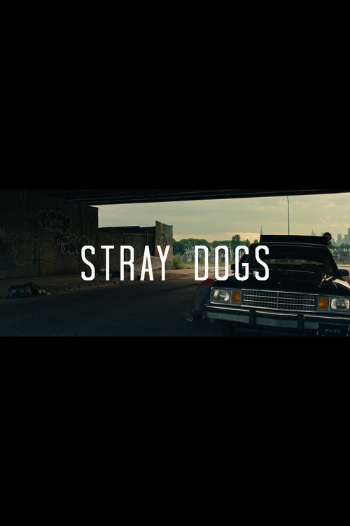 Stray Dogs Poster