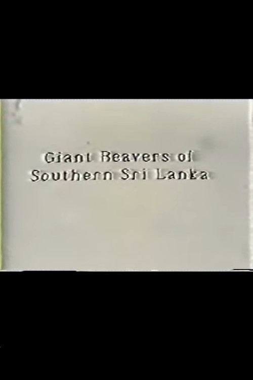 Giant Beavers of Southern Sri Lanka Poster