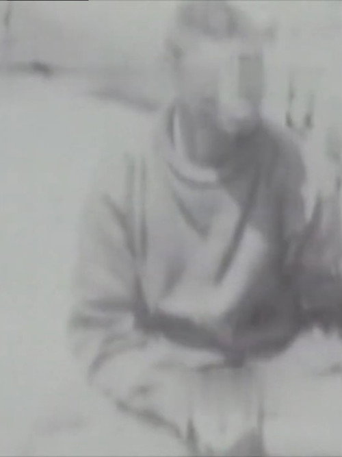 Human Apes from the Orient Poster