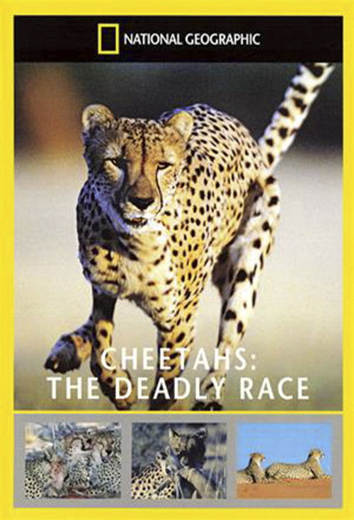 Cheetahs: The Deadly Race Poster