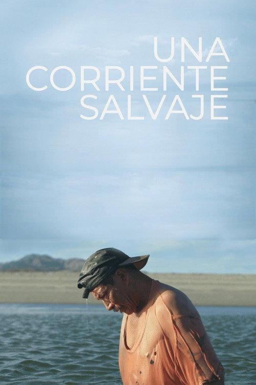 Una corriente salvaje Poster
