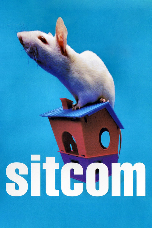 Sitcom Poster
