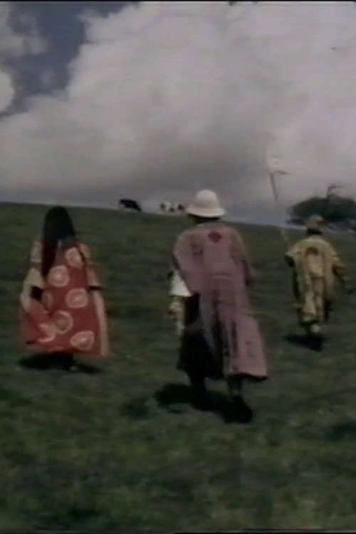 The Black Safari Poster