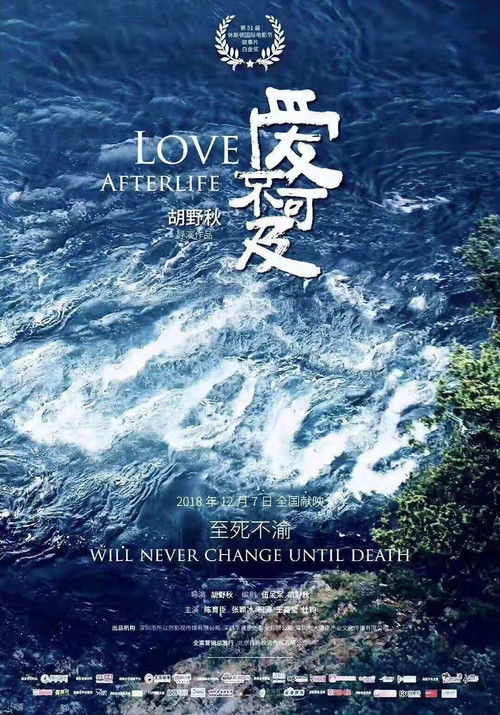 Love Afterlife Poster