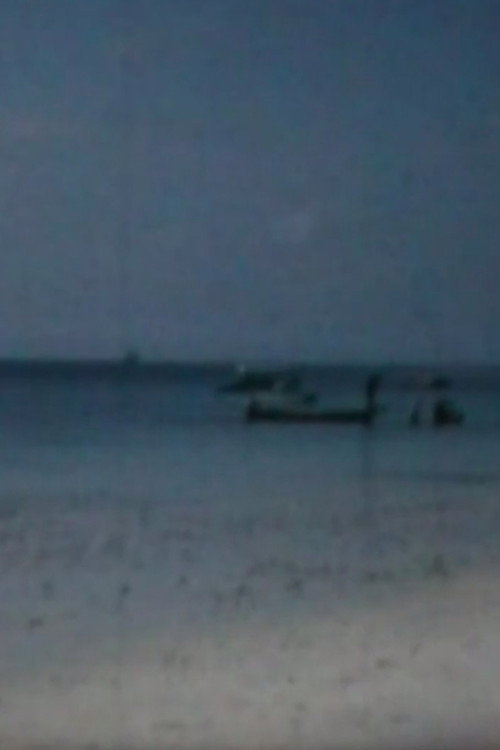 Fantasia Africana Poster