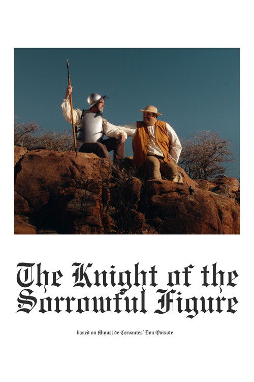 The Knight of the Sorrowful Figure Poster