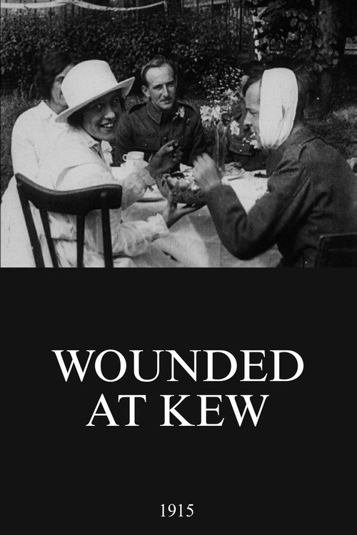 Wounded at Kew Poster