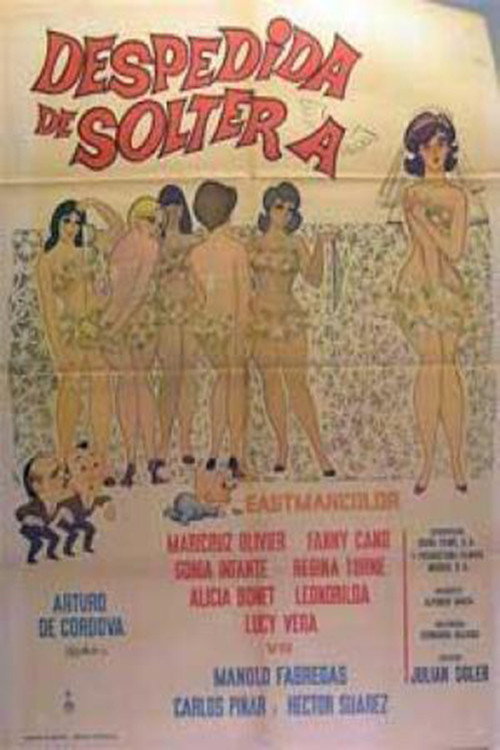 Despedida de soltera Poster