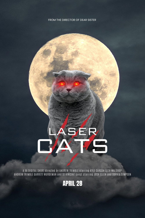 Laser Cats Poster
