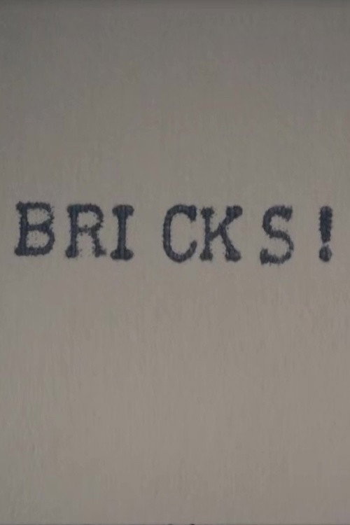 Bricks! Poster