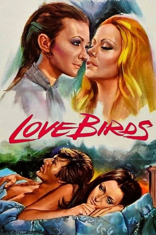 Love Birds Poster