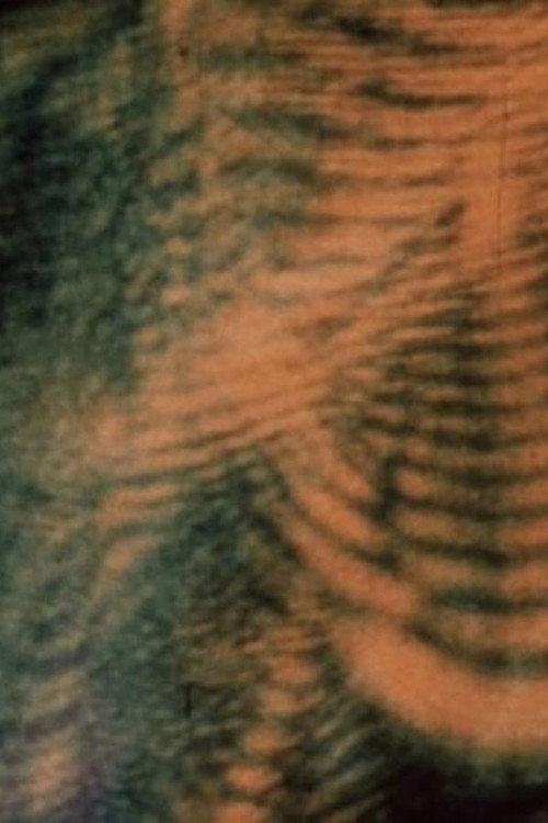Laserimage Poster