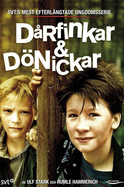 Darfinkar & Donickar: The Movie Poster