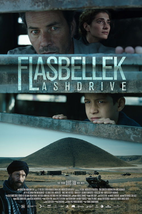 Flashdrive Poster