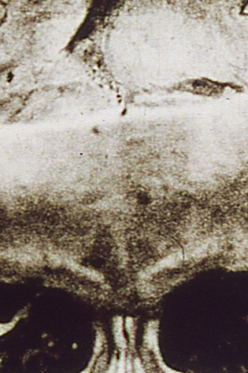 The Red Gate: Magellan at the Gates of Death, Part I Poster