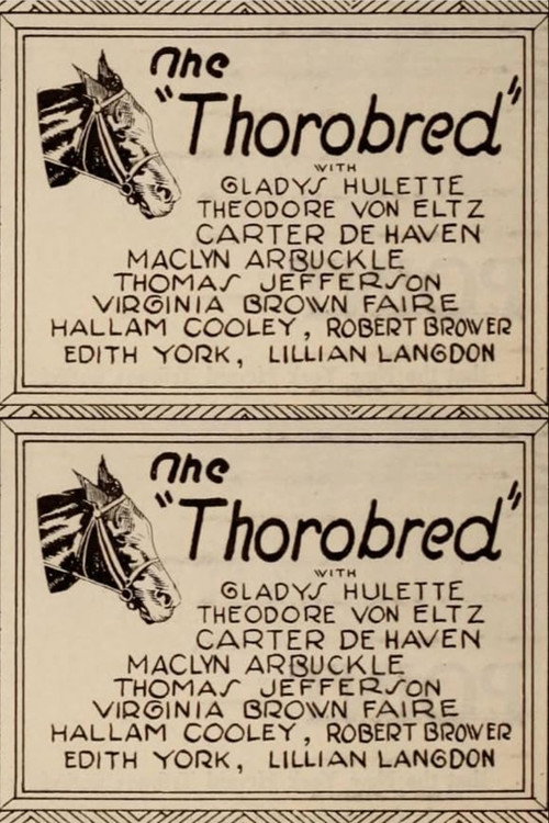 The Thoroughbred Poster
