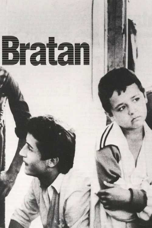 The Little Brother Poster