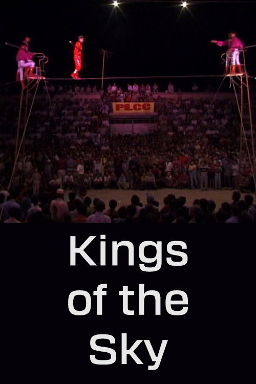 Kings of the Sky Poster