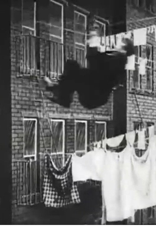 The Burglar's Slide for Life Poster