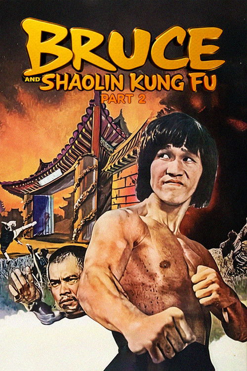 Bruce and Shaolin Kung Fu Part 2 Poster