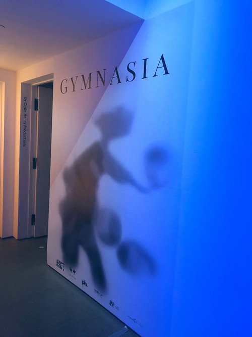 Gymnasia Poster