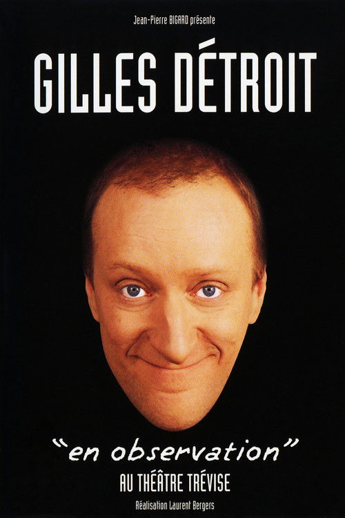 Gilles Détroit : En observation Poster