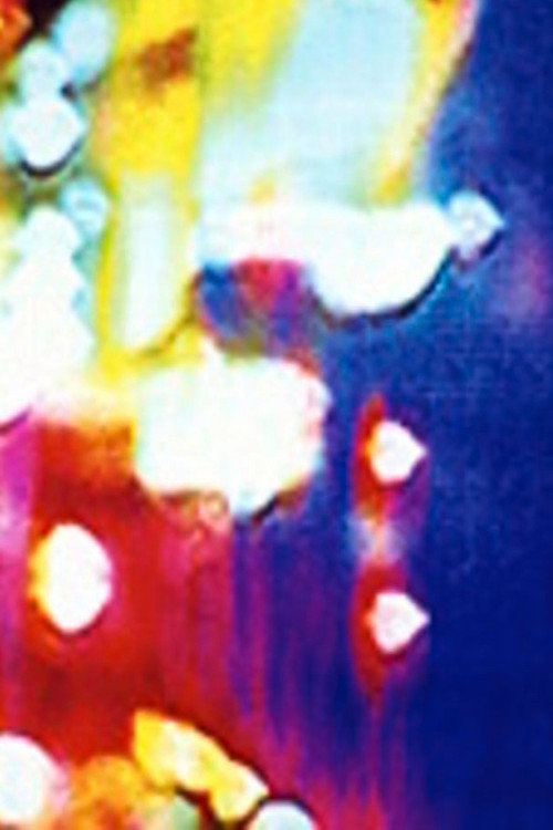 Las Vegas Poster