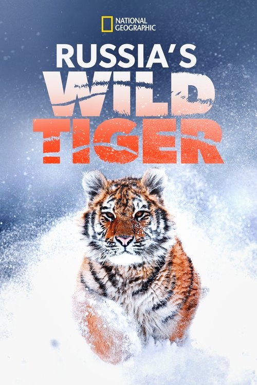 Russia's Wild Tiger Poster