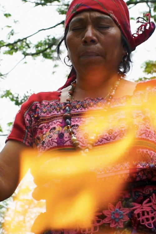 Fuego Sagrado Poster