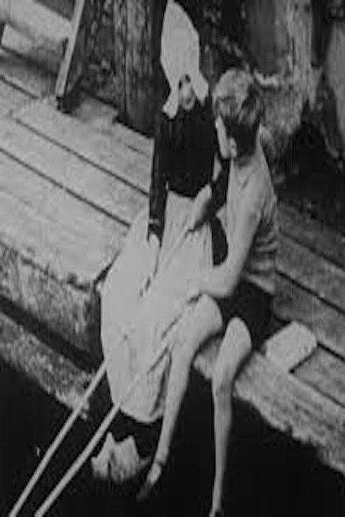 The Little Dutch Tulip Girl Poster