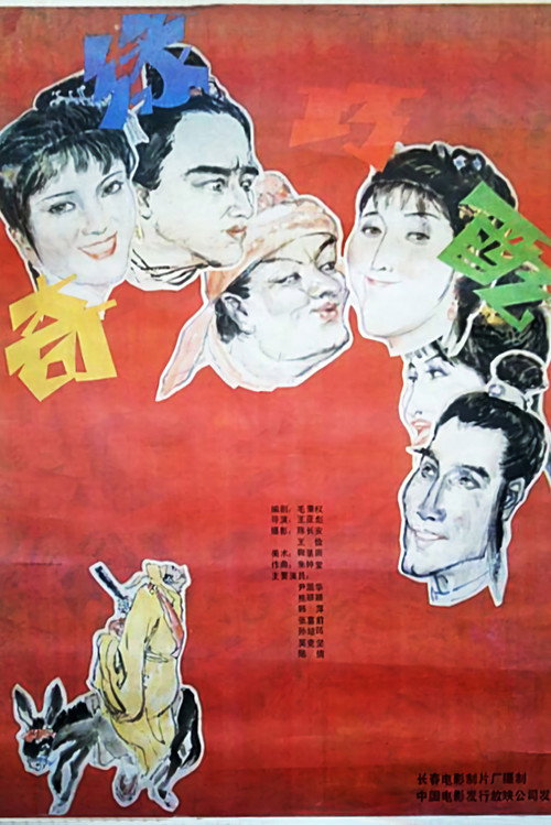 奇缘巧配 Poster