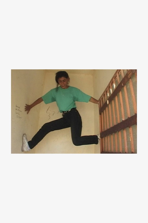 Souha, Surviving Hell Poster
