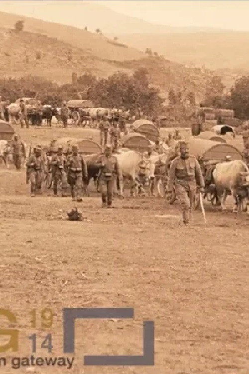 Ammunition Column of the Danube Division Poster
