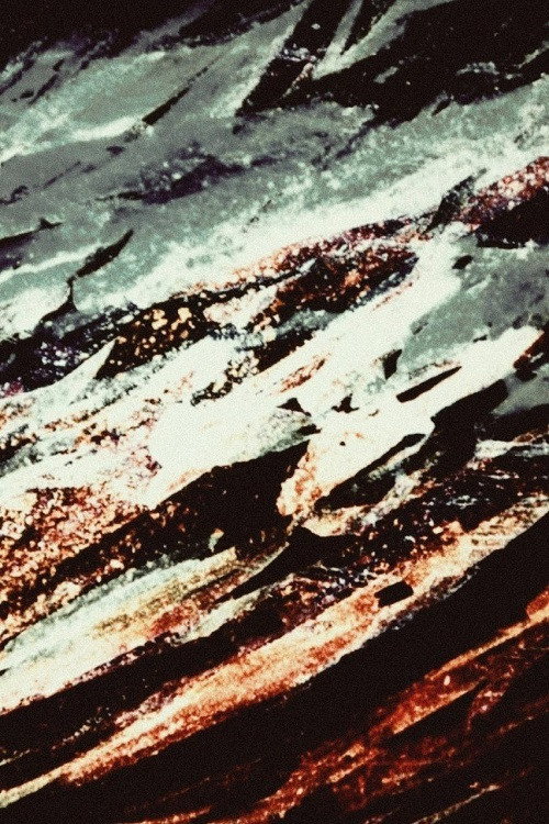 In an Imagined Garden Poster