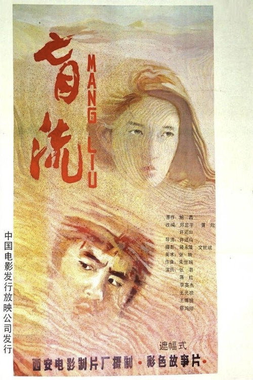 盲流 Poster