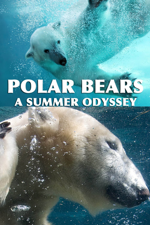 Polar Bears: A Summer Odyssey Poster