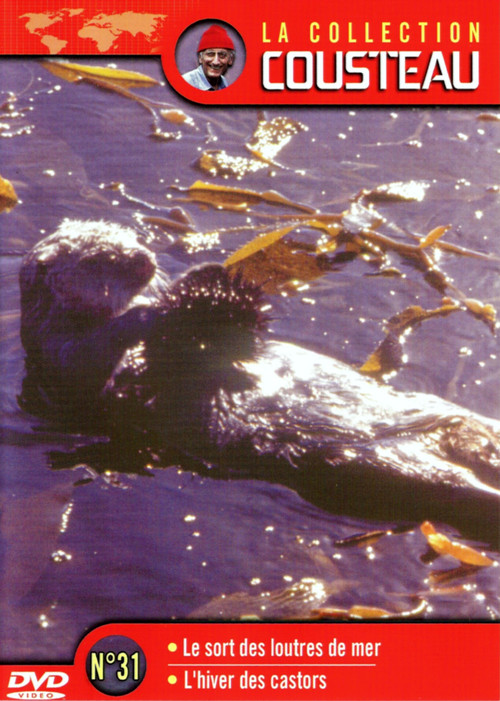 The Cousteau Collection N°31-1 | The Fate of Sea Otters Poster