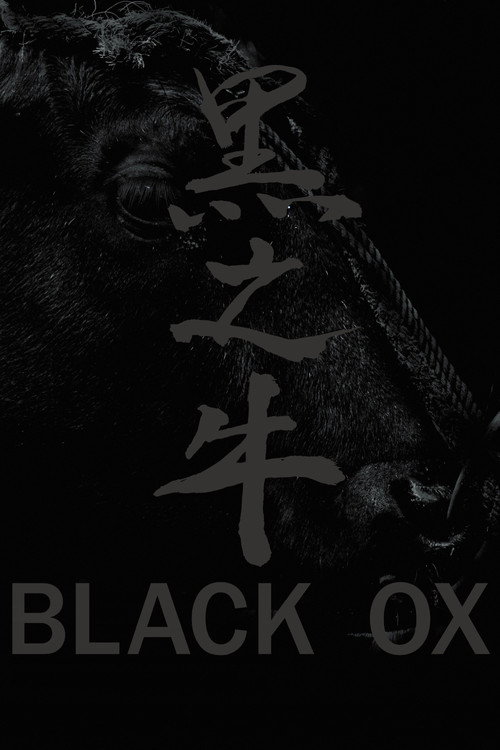 Black Ox Poster