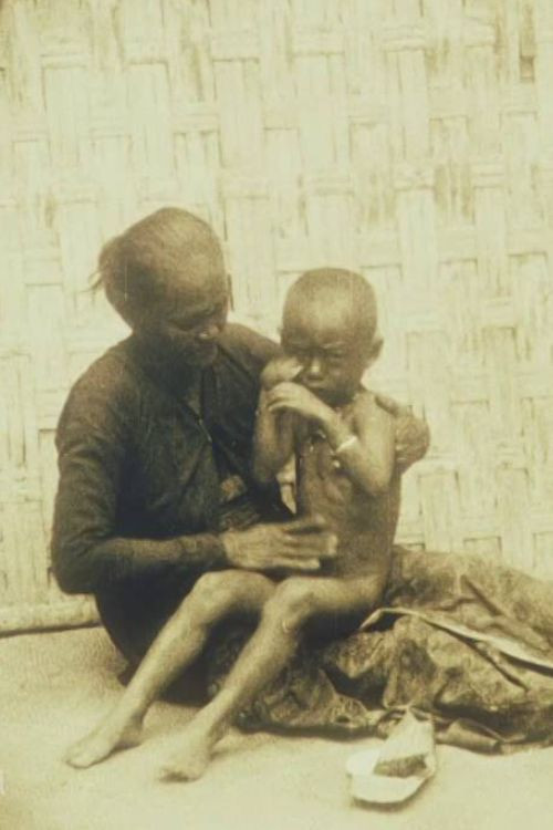 Life in the Dessa Poster