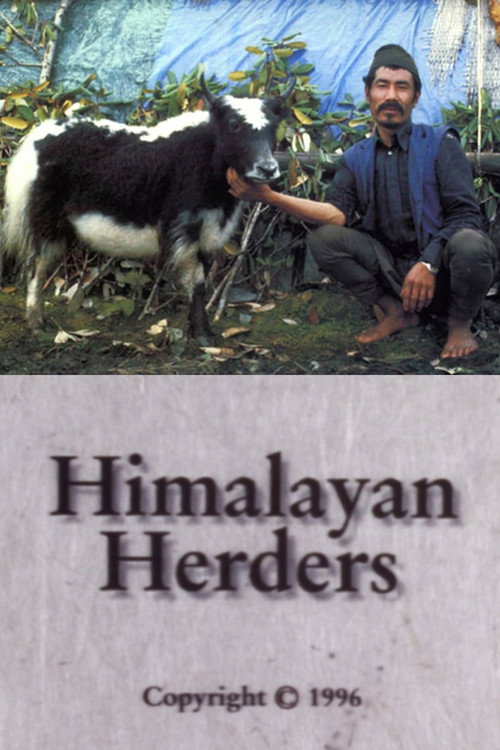Himalayan Herders Poster