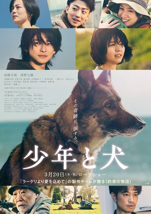 The Boy and the Dog Poster