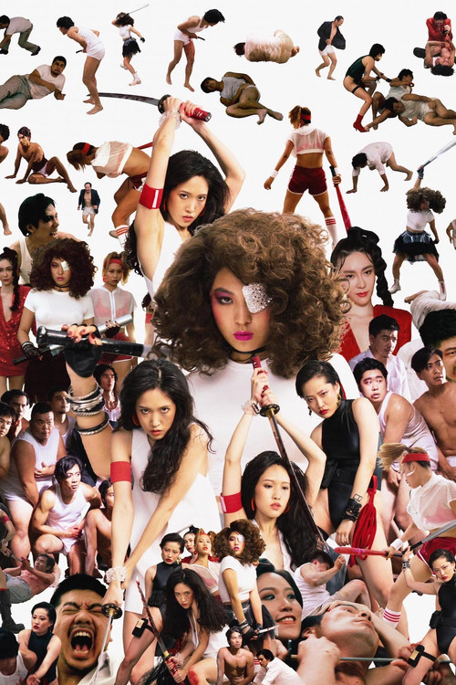 The Women's Revenge Poster